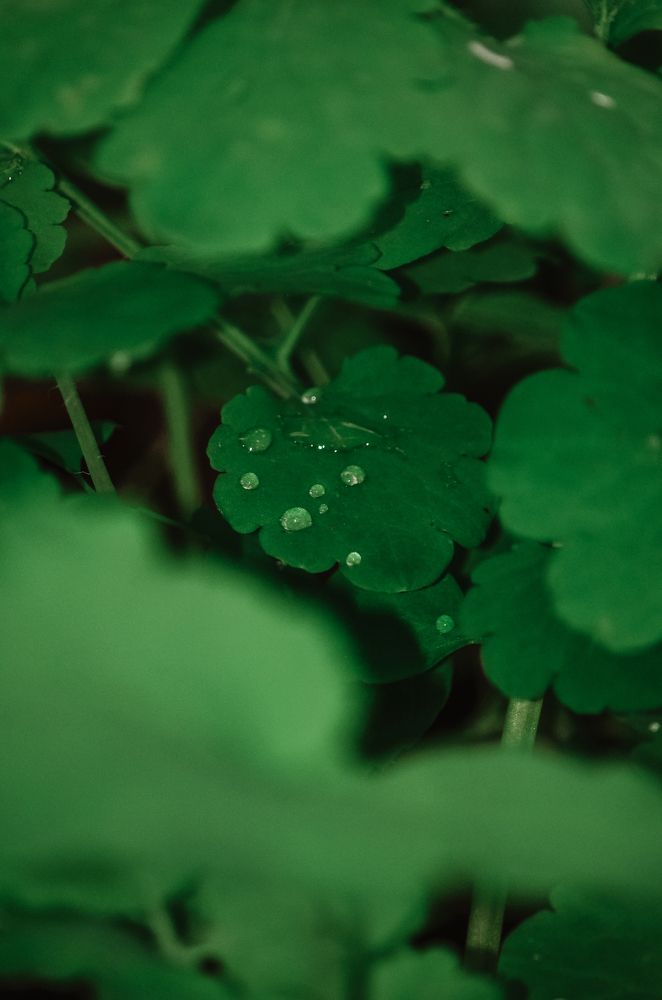 Photograph by Чебесов Олег