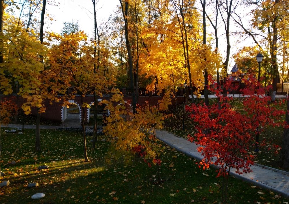 Photograph by Наталья Соколова