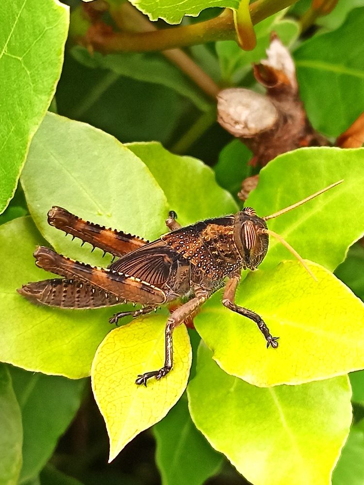 Photograph by Наталья Соколова