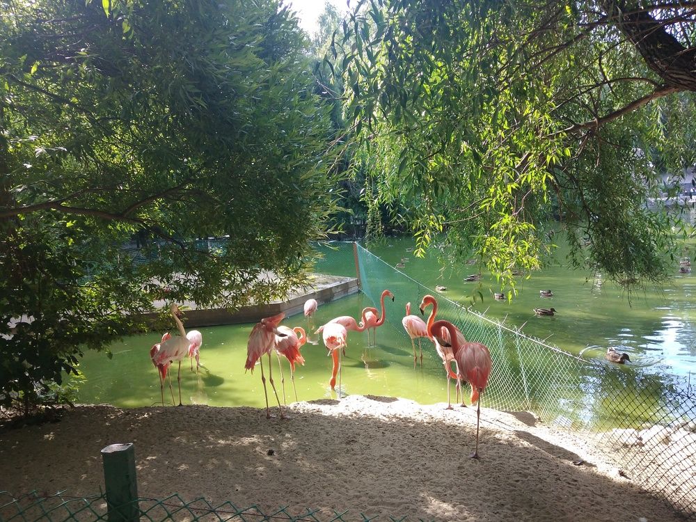 Photograph by Анна