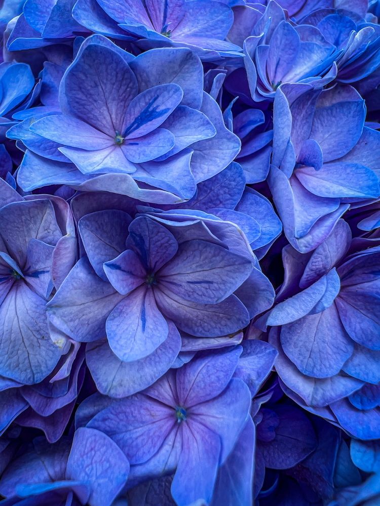 Photograph by Artem Mezhuev