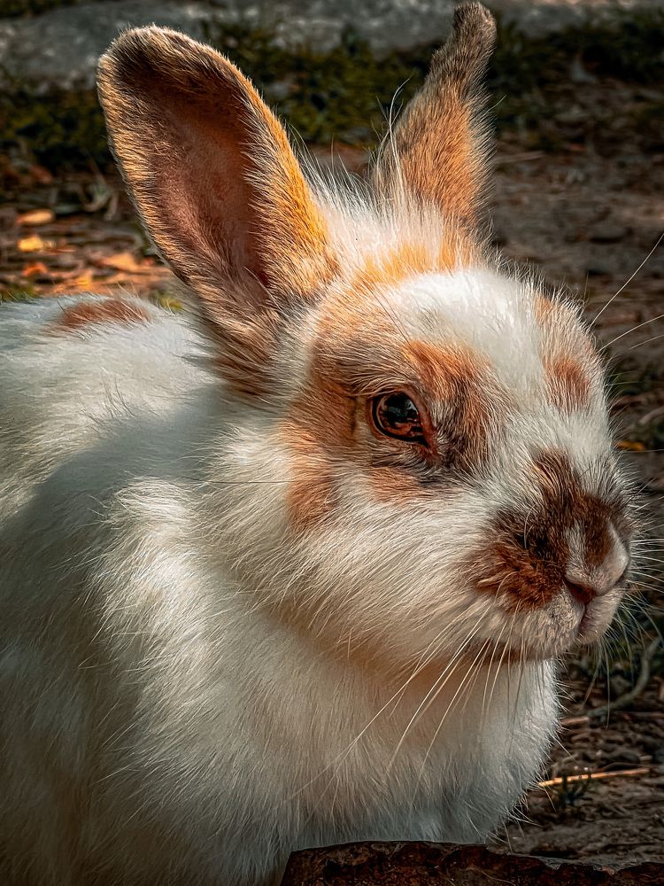 Photograph by Artem Mezhuev