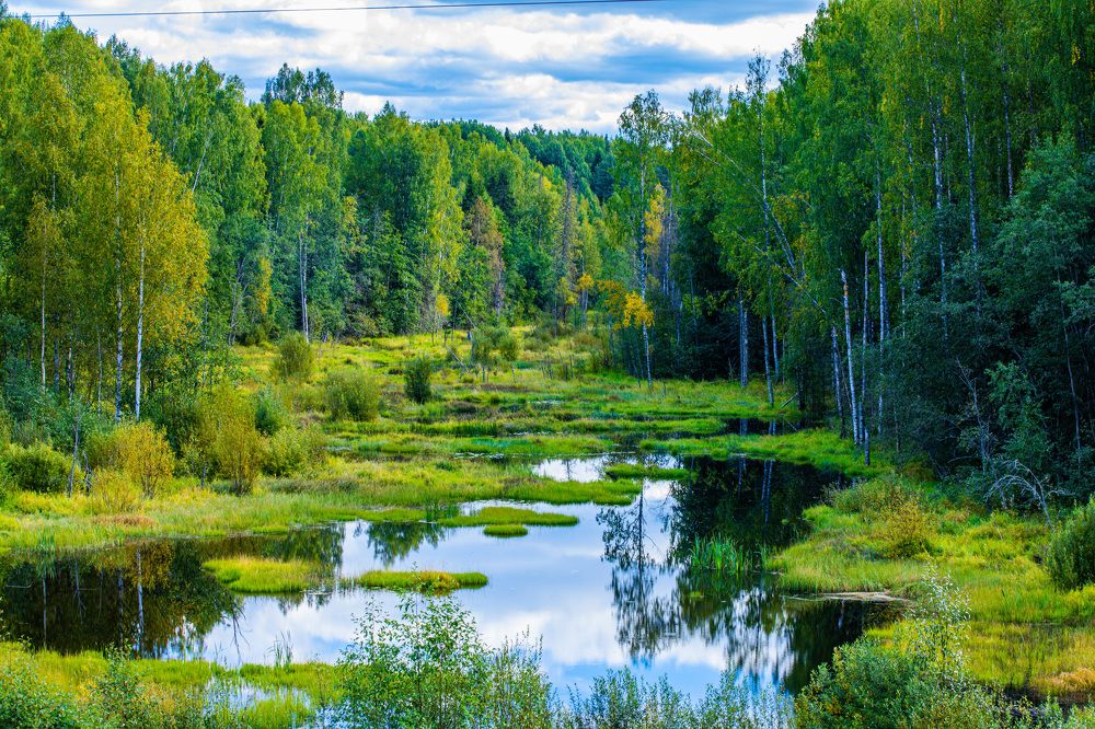 Photograph by Artem Mezhuev