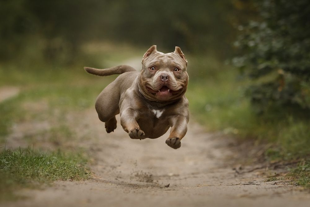 Photograph by Ольга Легенькая