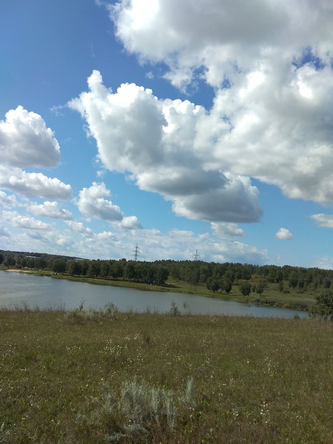 Photo #8053981