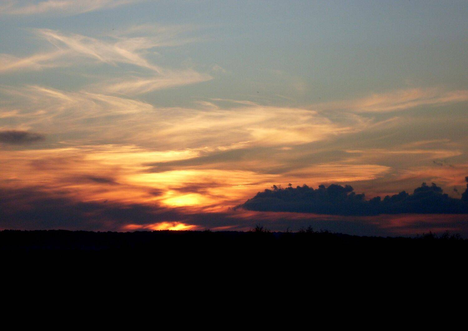 Photo #8054011