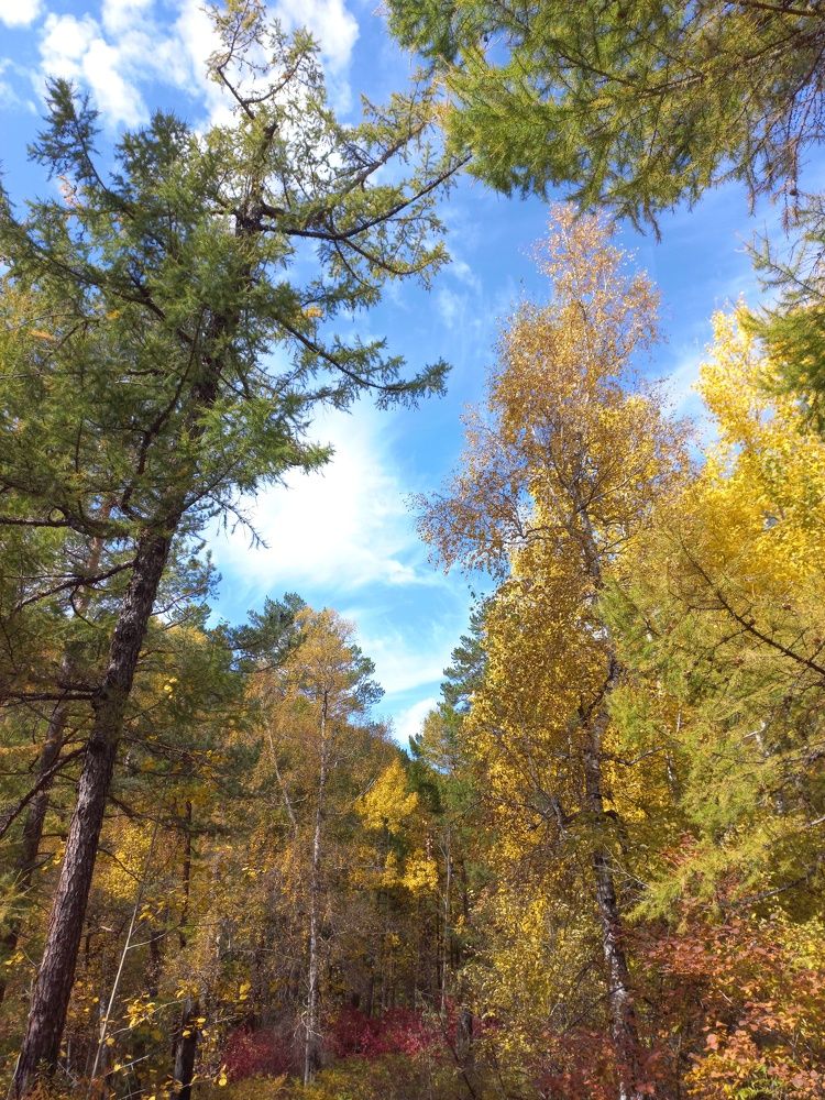 Фотография автора Пешков Егор