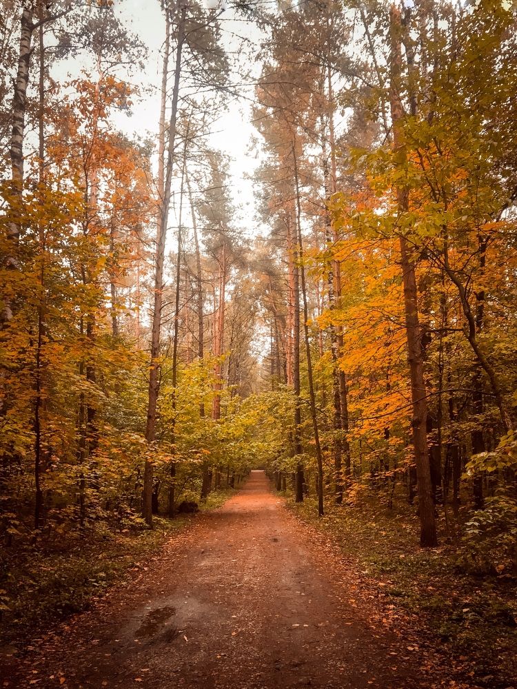 Photograph by T.Ю. Гринько