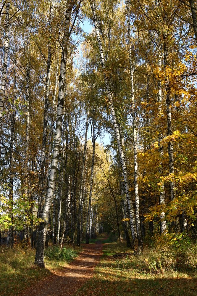 Photograph by Светлана Шуткова