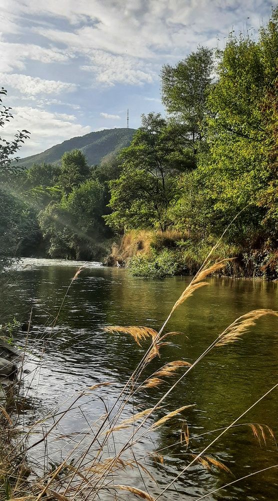 Photograph by Андрей Прокопенко