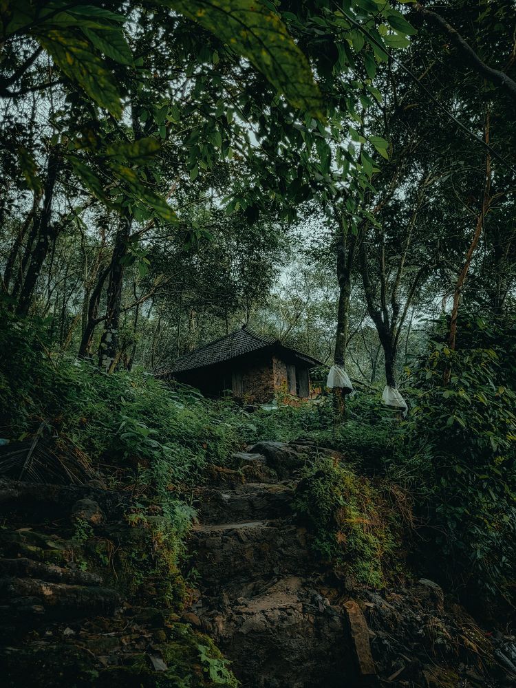 Photograph by Ashiq P F Mohammed