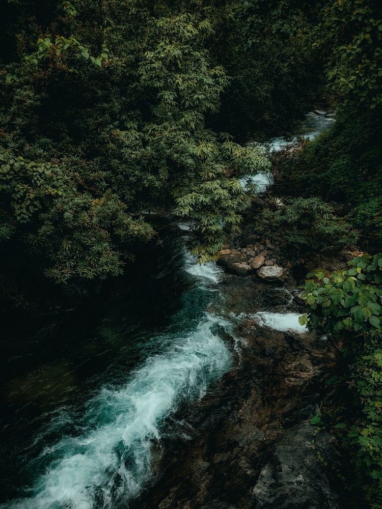 Photograph by Ashiq P F Mohammed