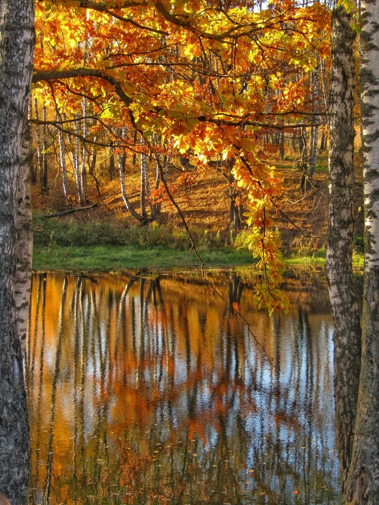 Photograph by Татьяна Сурова