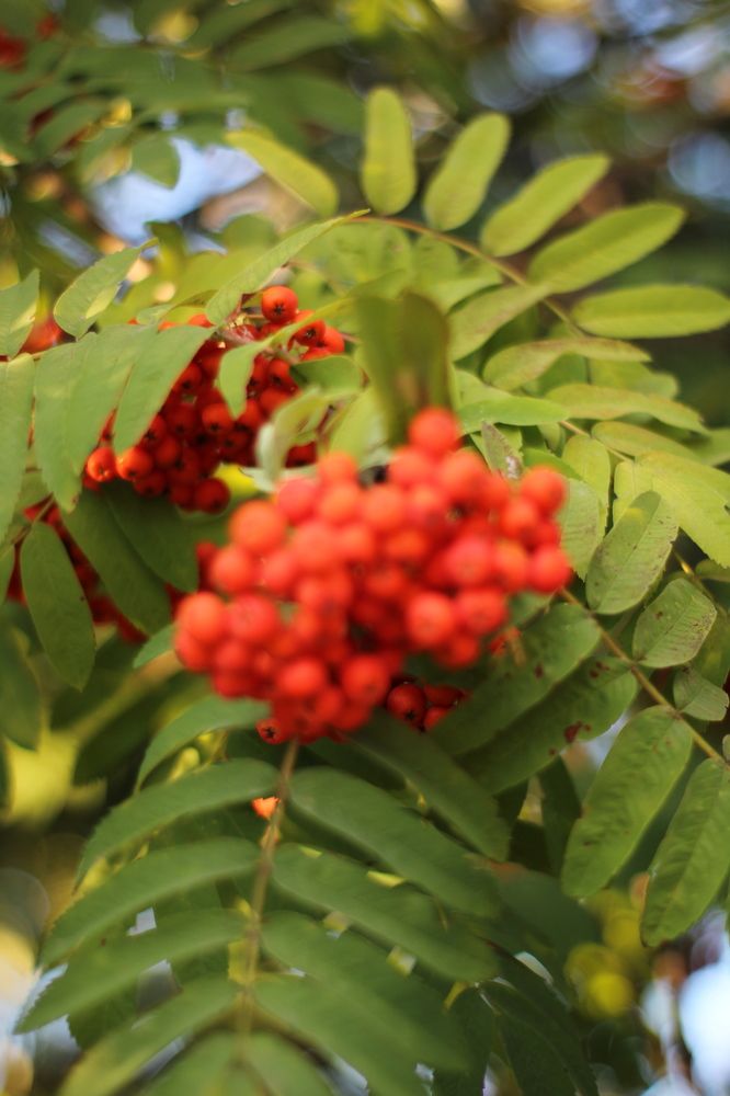 Photograph by Анастасия Липаткина