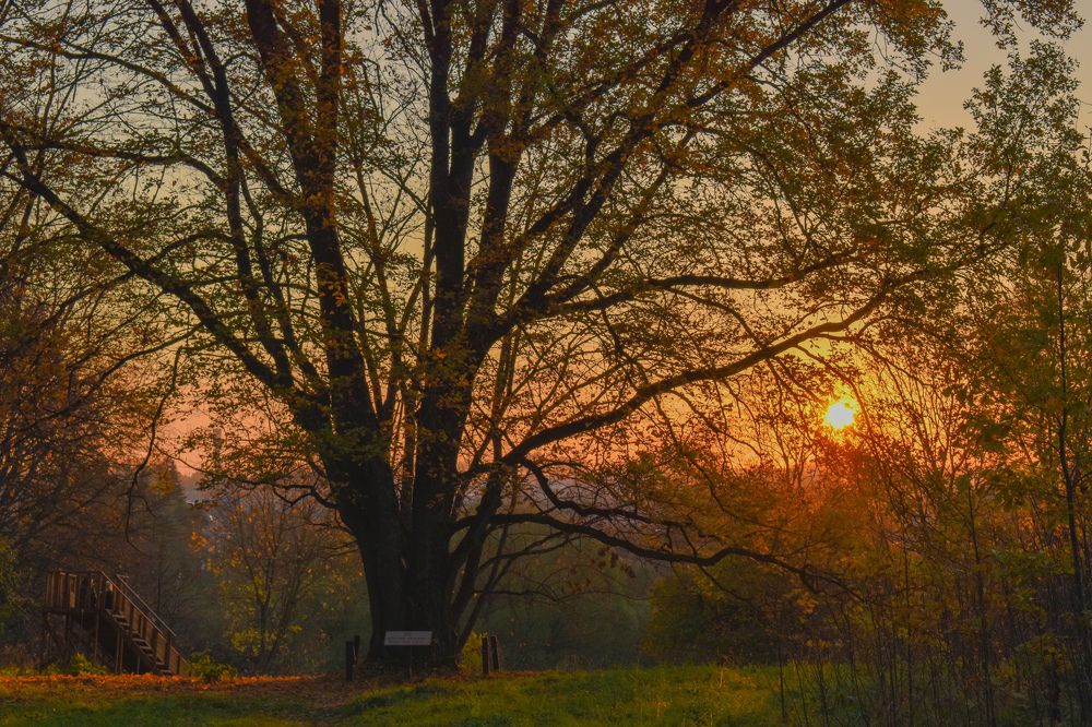 Photograph by Татьяна Сурова