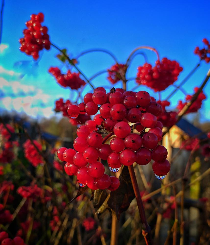 Фотография автора Олеся