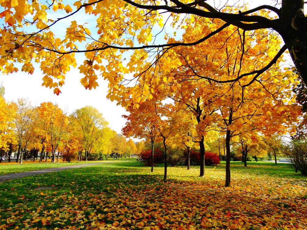 Photograph by Ирина Половцева