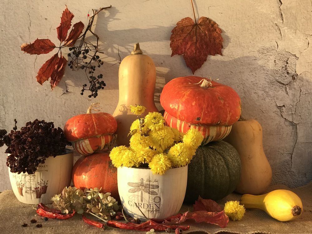 Photograph by Ирина Гаврилова