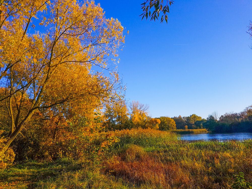 Photograph by Ирина Половцева