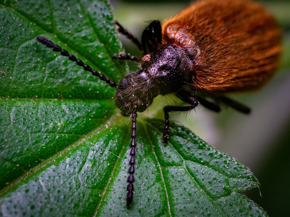 Фотография автора Андрей Баранов