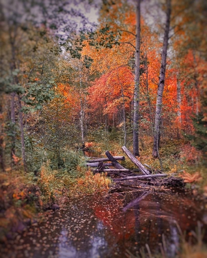 Photograph by Люда Яковлева