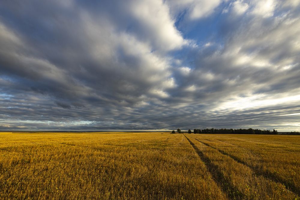 Краски осени