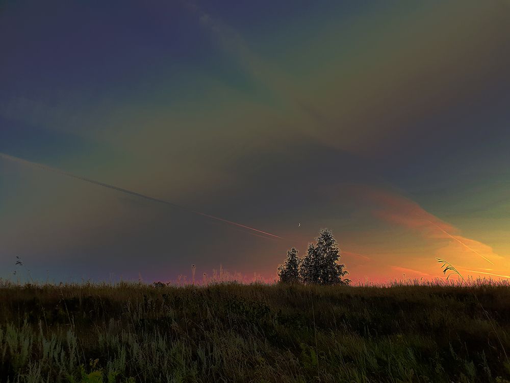 Фотография автора Надежда Лисицына