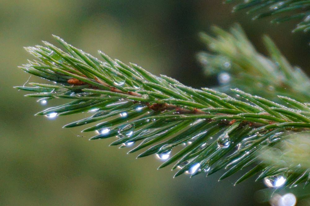 Photograph by Алфия Бугакова