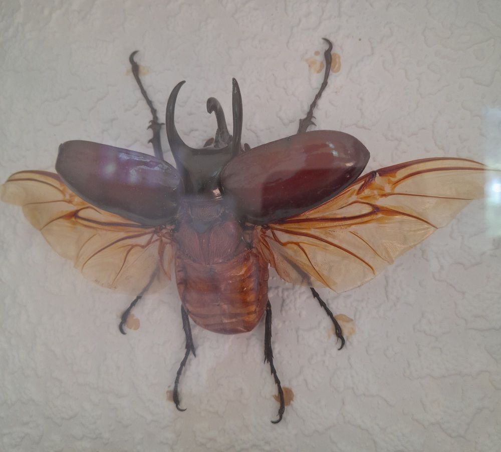 Photograph by Ахрор Холиков