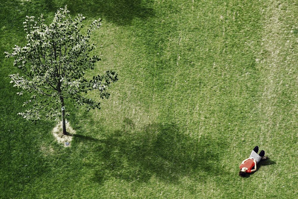 Photograph by Олег Банковский