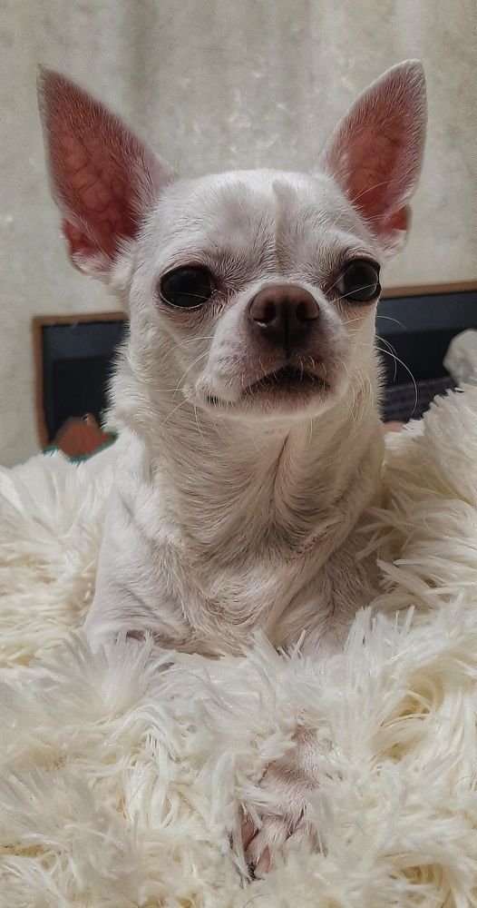 Photograph by Андрей Прокопенко