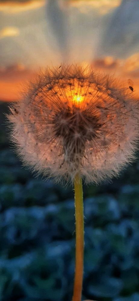 Photograph by Андрей Прокопенко