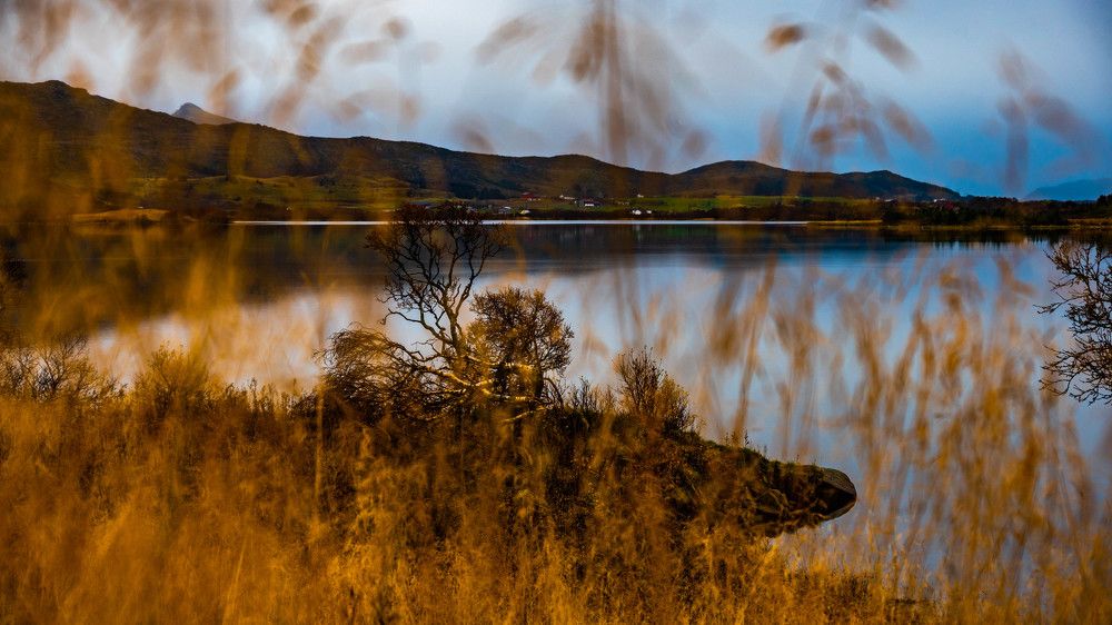 Photograph by Mahmud Tareq Khan