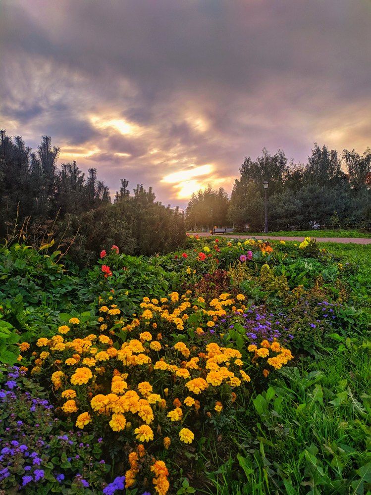 Фотография автора Олеся