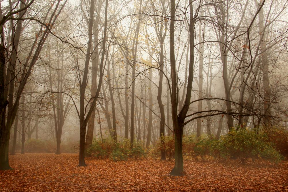 Photograph by Anna Banasiak