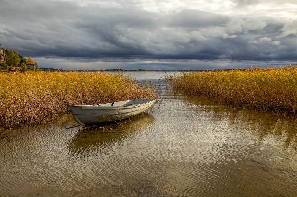 Photograph by Сыродоев Сергей