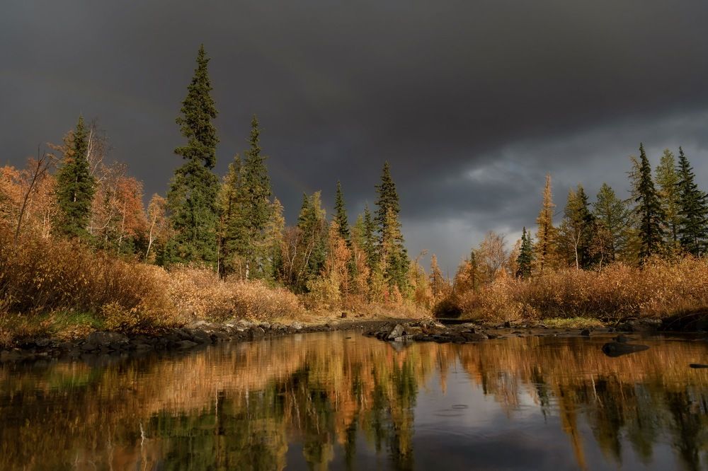 Photograph by Ирина Ульянова