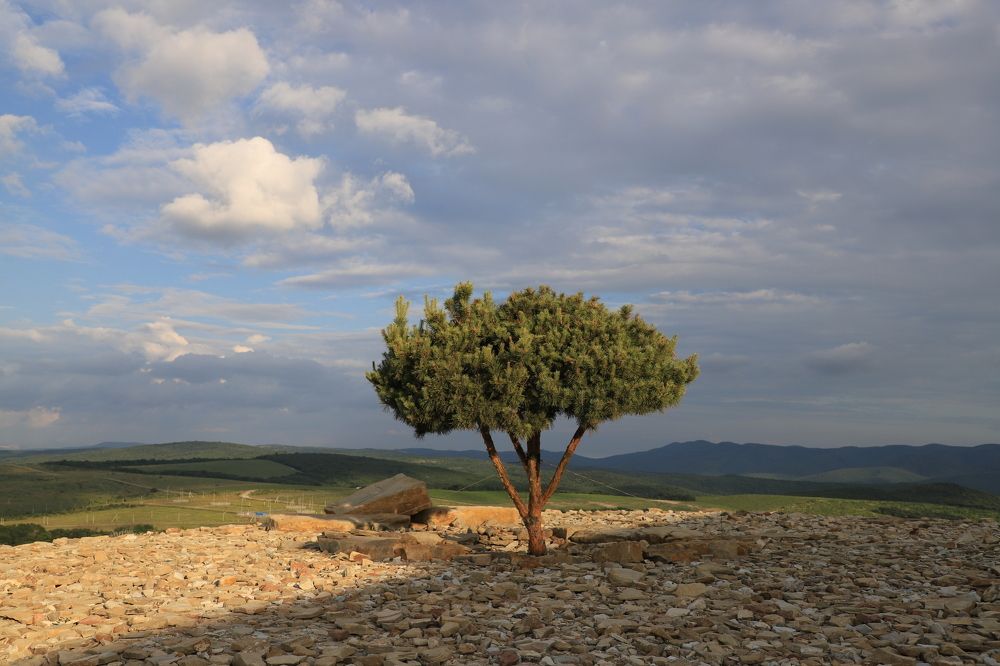 Одиночество между солнцем и тенью