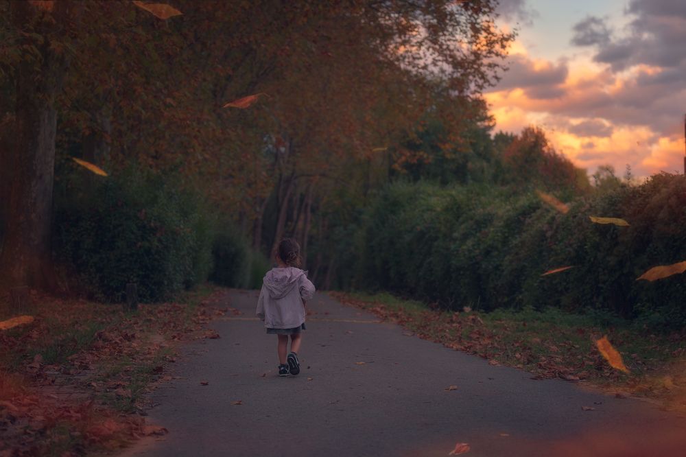 Autumn in basque country