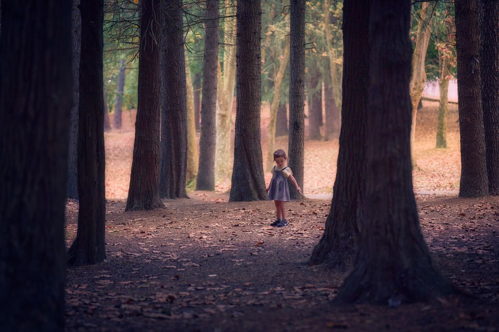 Little girl in a magical forest