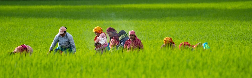 Photograph by Poshan Shakya
