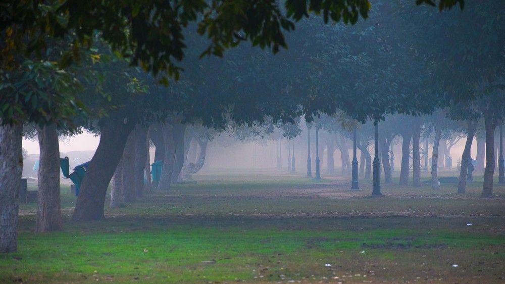 Photograph by Mohit Jindal