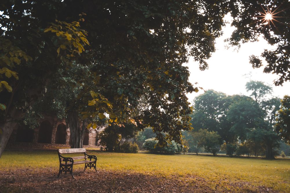 Photograph by Mohit Jindal