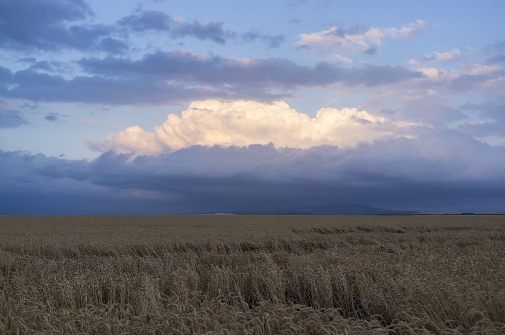 Photograph by Rustam Huseynov