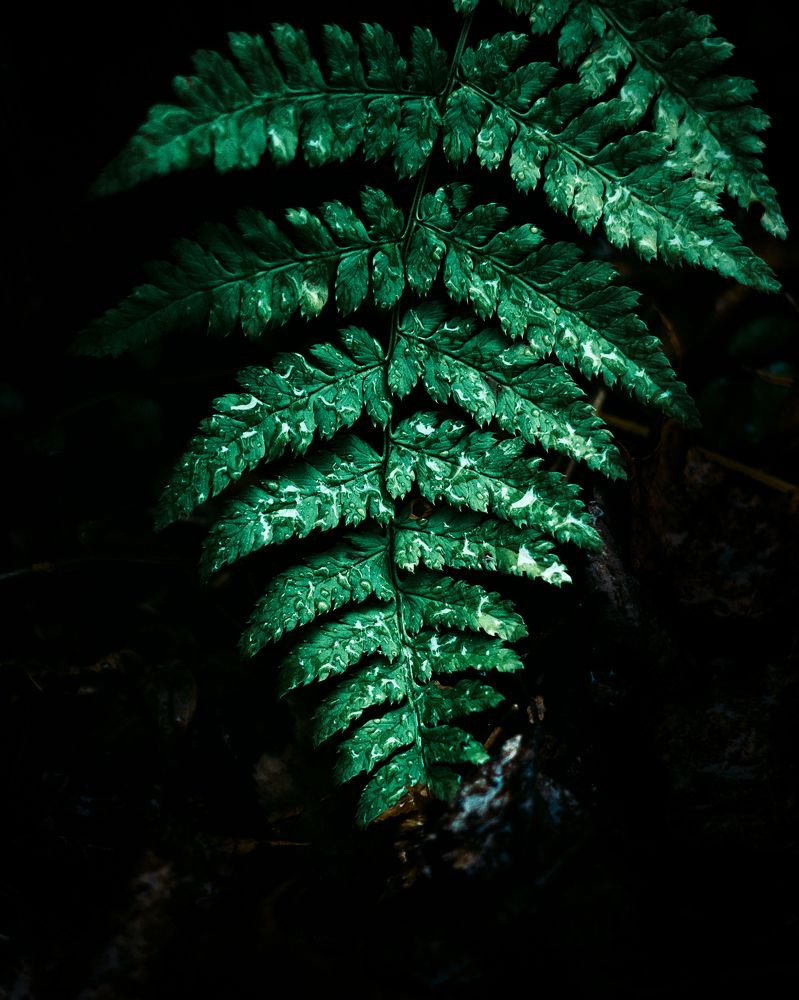 Photograph by Максим Салихов