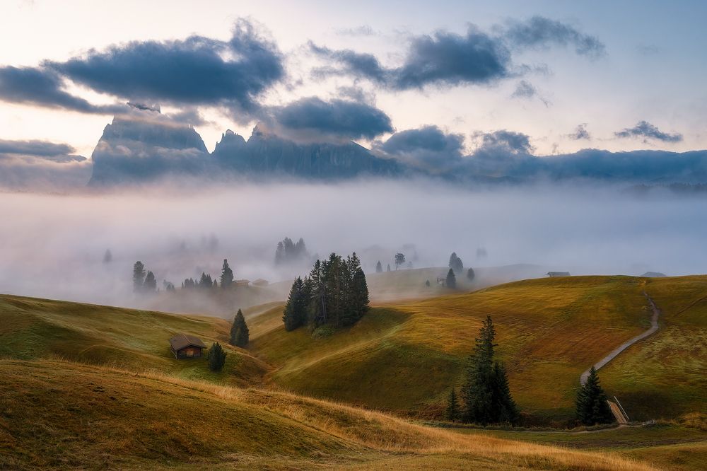 Photograph by Martin Kucera