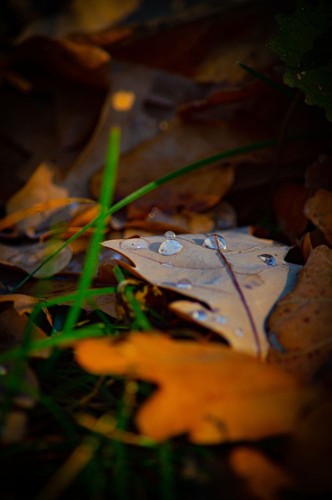 Photograph by Чебесов Олег