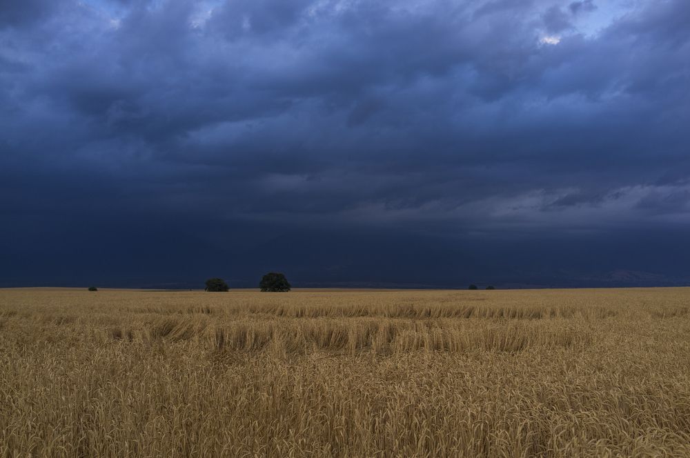 Photograph by Rustam Huseynov