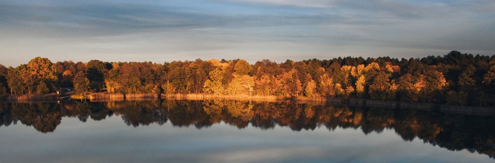 Photo #8054696