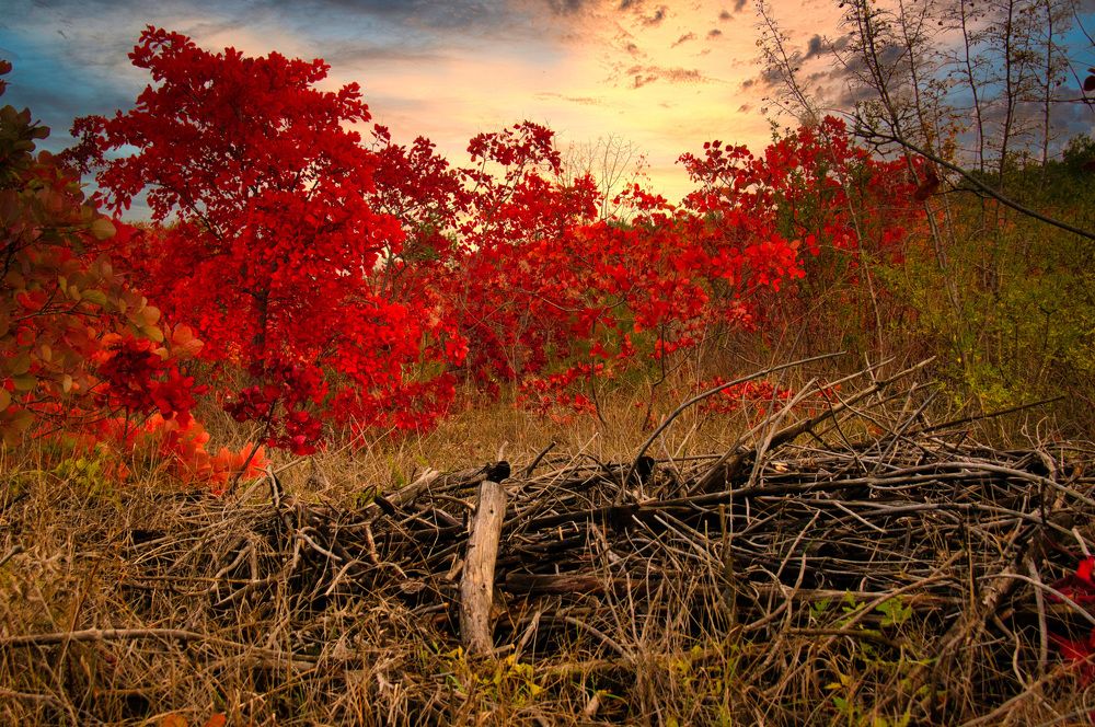 Photograph by  AlexSa